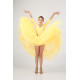 Yellow Zest – Transformer Ballroom Dress with 2 Skirts