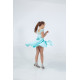 Delicate Proportions – Transformer Ballroom Dress with 2 Skirts