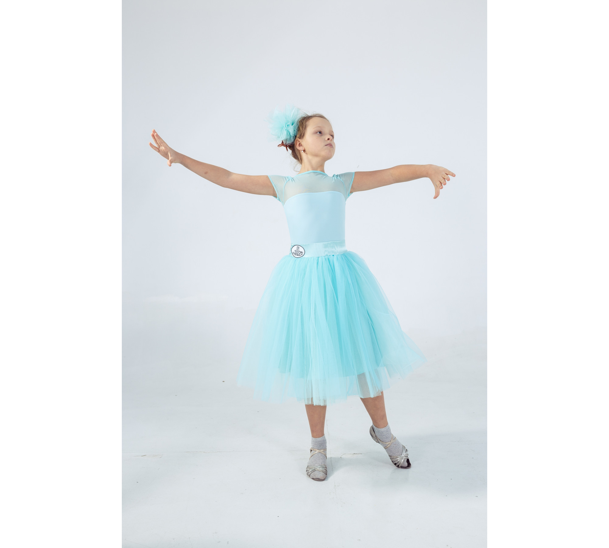 Delicate Proportions – Transformer Ballroom Dress with 2 Skirts
