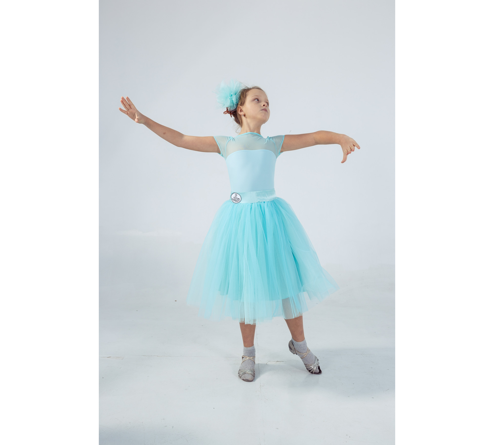 Delicate Proportions – Transformer Ballroom Dress with 2 Skirts Delicate Proportions – Transformer Ballroom Dress with 2 Skirts
