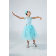Delicate Proportions – Transformer Ballroom Dress with 2 Skirts Delicate Proportions – Transformer Ballroom Dress with 2 Skirts