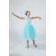 Delicate Proportions – Transformer Ballroom Dress with 2 Skirts