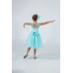 Delicate Proportions – Transformer Ballroom Dress with 2 Skirts