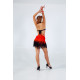 Flame Latin Dance Dress 